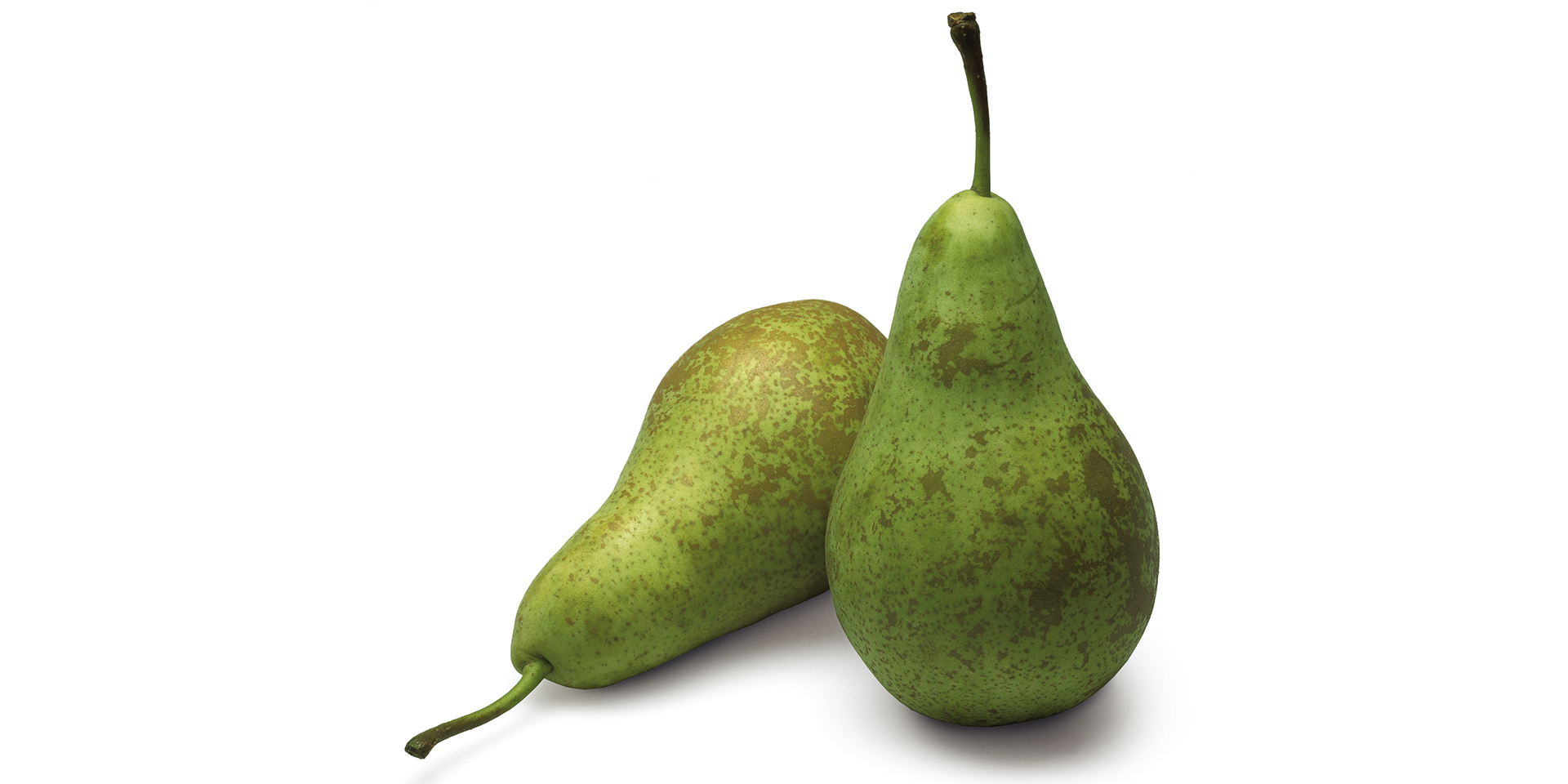 Conference peer per stuk