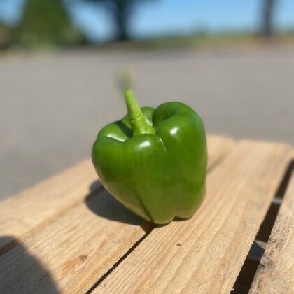 Paprika groen per stuk