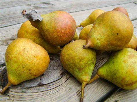 Gieser wildeman peer per stuk