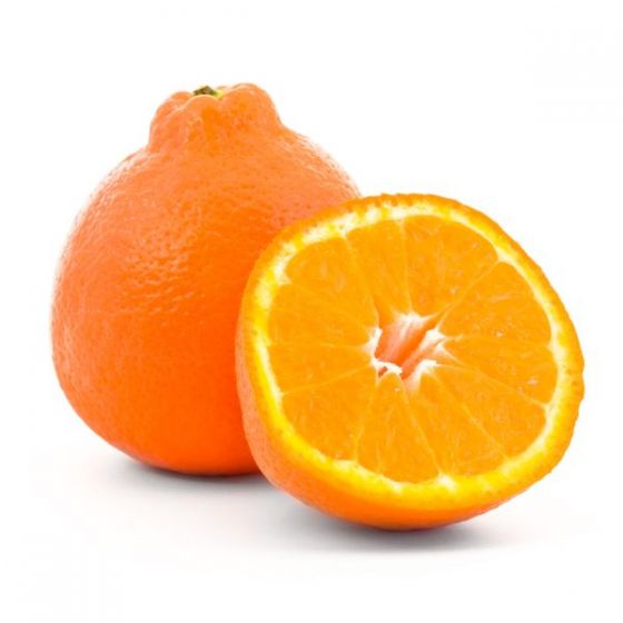 Minneola per 5 stuks